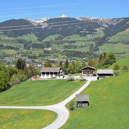 Апартаменты Loeschenbrandhof Миттерзилль Экстерьер фото